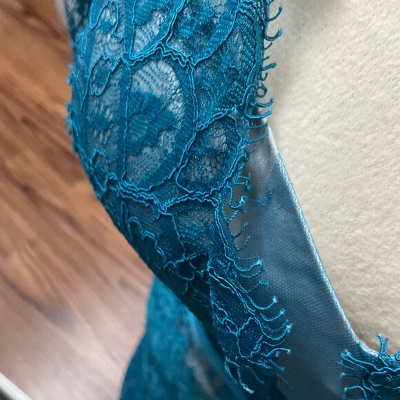 Catherine Deane Kelly Tulle and Lace Illusion Dress Gown, Size 4 - Picture 9 of 10